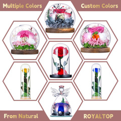 Preserved Flower Gift Box with LED Lights