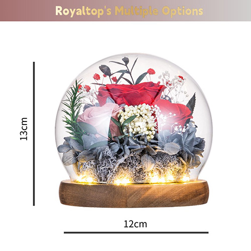 Preserved Flower Gift Box with LED Lights