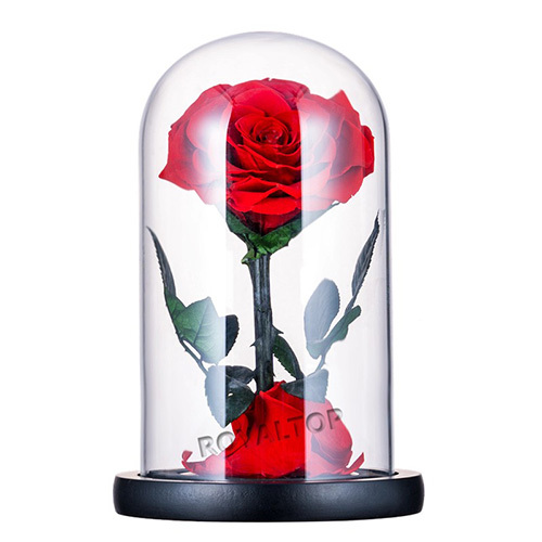 Eternal Rose Gift for Women