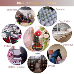 Real Preserved Roses in Glass Dome