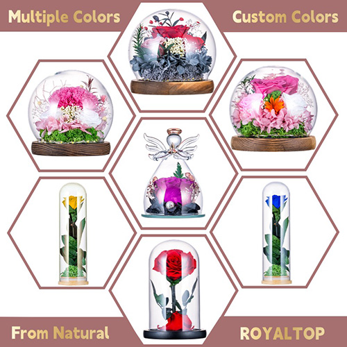 Eternal Rose in Glass Angel Figurine