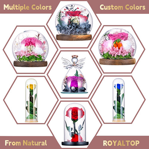 Eternal Rose in Glass Angel Figurine
