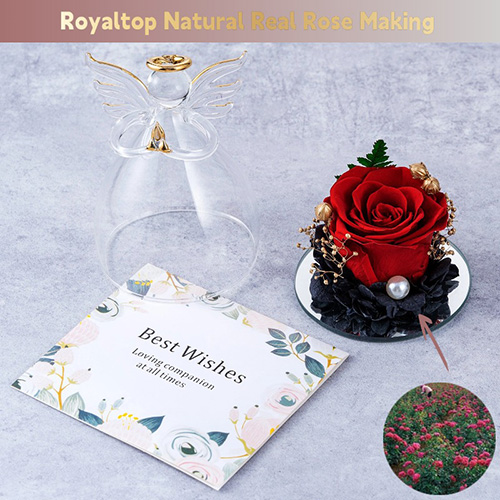 Eternal Rose in Glass Angel Figurine