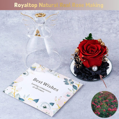 Eternal Rose in Glass Angel Figurine