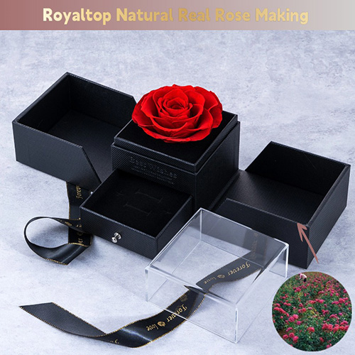 Eternal Rose Jewelry Box
