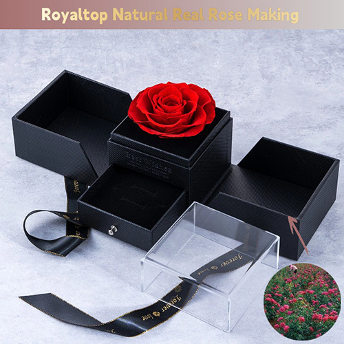 Eternal Rose Jewelry Box