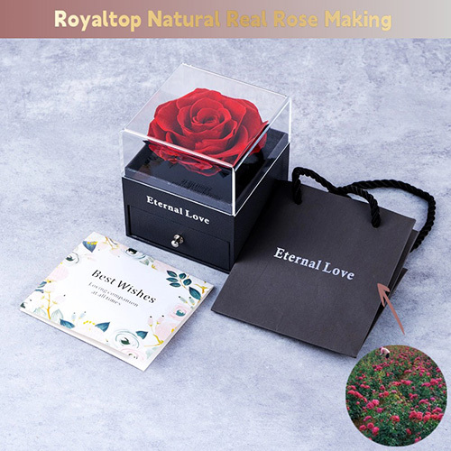 Eternal Rose Jewelry Box