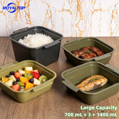 Reusable Plastic Lunch Box Set
