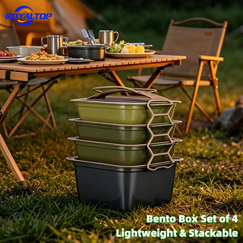 Reusable Plastic Lunch Box Set