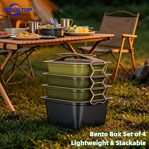 Reusable Plastic Lunch Box Set