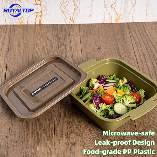 Reusable Plastic Lunch Box Set