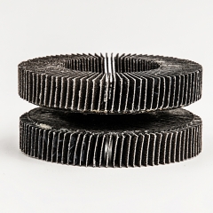 100 x 16 mm Vertical Flap Disc with Fiberglass Backing