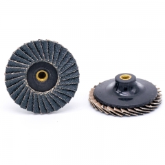 Zirconia Mini Flap Disc