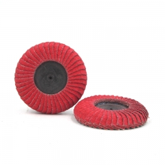 Mini Curved Flap Disc