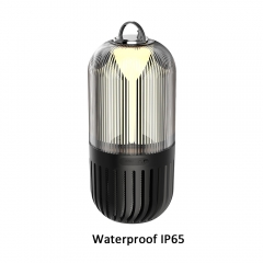 Waterproof IP65 multifunctional rechargeable Atmosphere Lamp With FM radio for party BBQ etc.