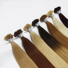 Dark /Light /Mix Color Nail/U Tip Straight Hair Extensions (100strands/100grams)