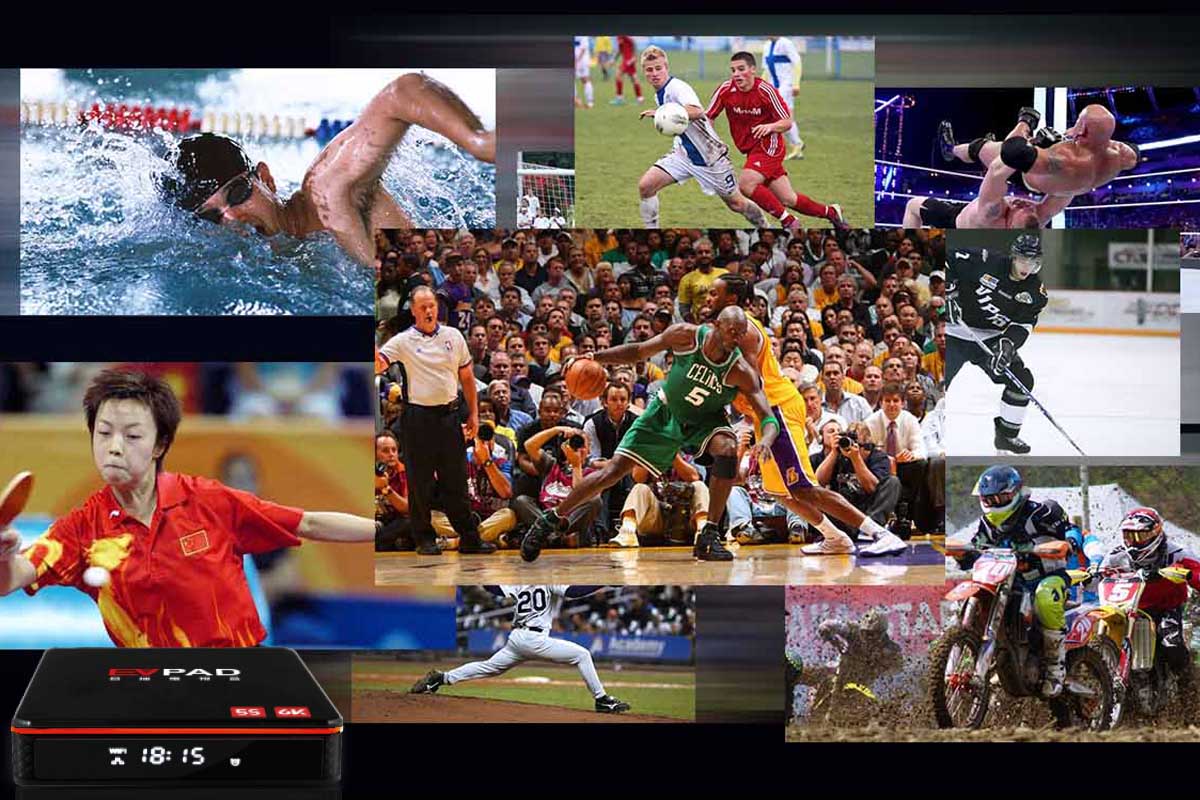 Hộp truyền hình EVPAD - Cột thể thao được tạo đặc biệt