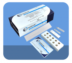 COVID-19 Antigen Rapid Test