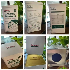 The first batch of camel milk powder export cases of Ucamel  to Singapore