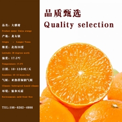 Sichuan Daya Oranges