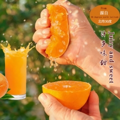 Sichuan Daya Oranges