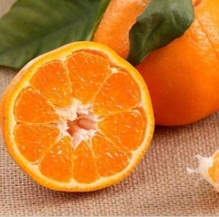 Sichuan Daya Oranges