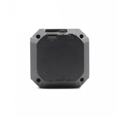 Portable Bluetooth speaker with radio AS-BT051