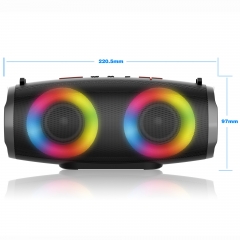 2021年硬低音扬声器的价格便携式扬声器更大音量水晶清晰立体声低音丰富的麦克风