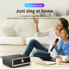 High Quality UHF Microphones High Quality music device speaker for Smart phone,tablet,Karaoke,Conference,livestream equipment