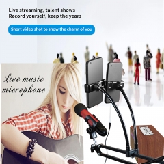 New Arrival Recording Hi-Fi Karaoke speakers family live KTV Echo BT Speaker 20W Wireless Dual UHF Microphone for Conference Par