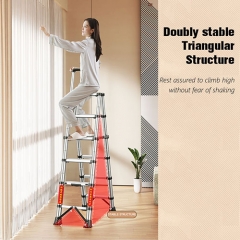 Stainless Steel Double Telescopic Ladder