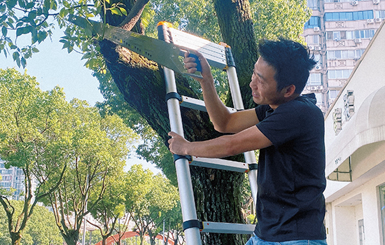 un homme taille des branches avec une Echelle télescopique avec fermeture en douceur