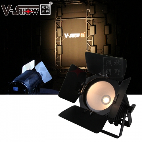 V-Show  IP65 Outdoor White/Warm white/W+WW 2in1 200W cob led par waterproof for dj light