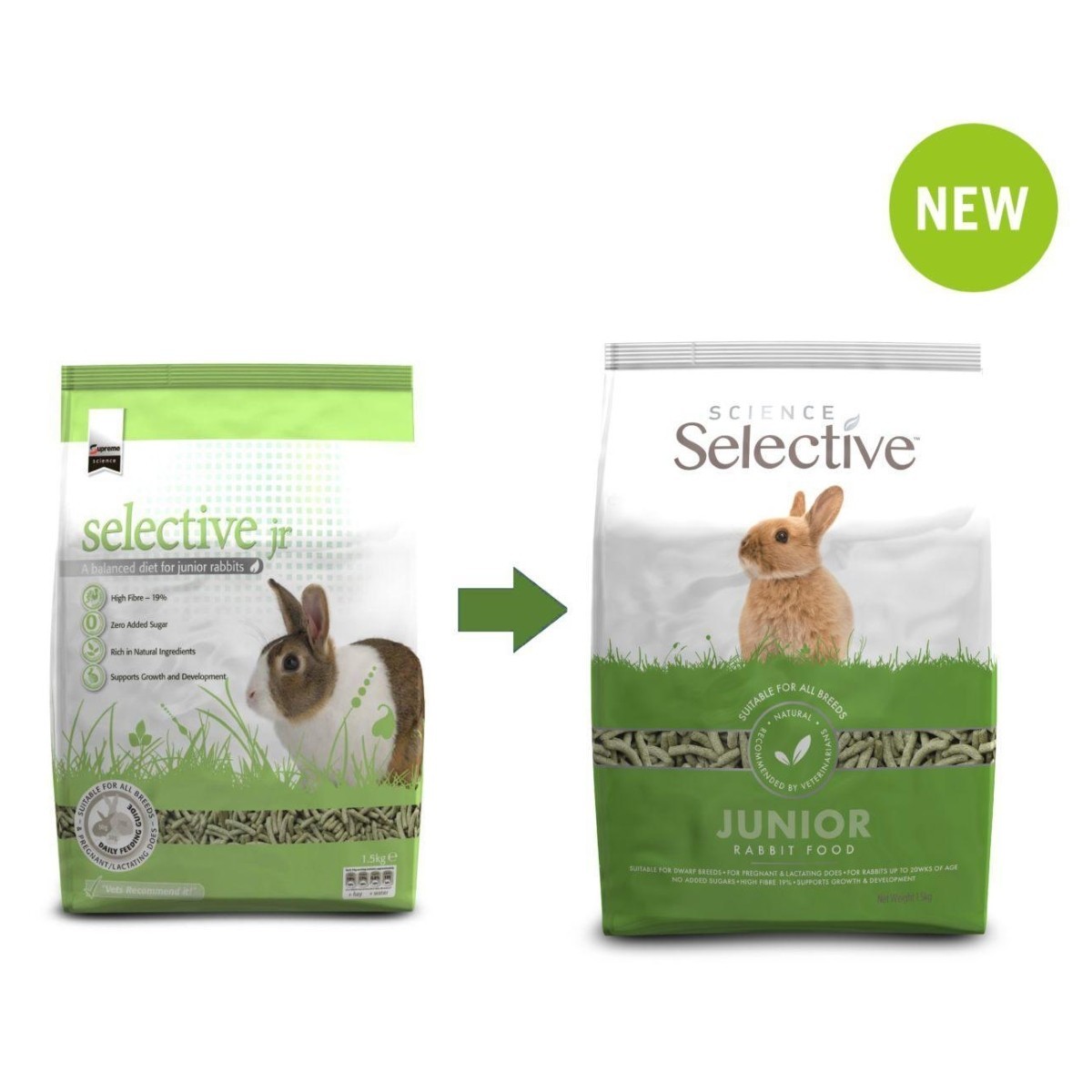 science selective junior