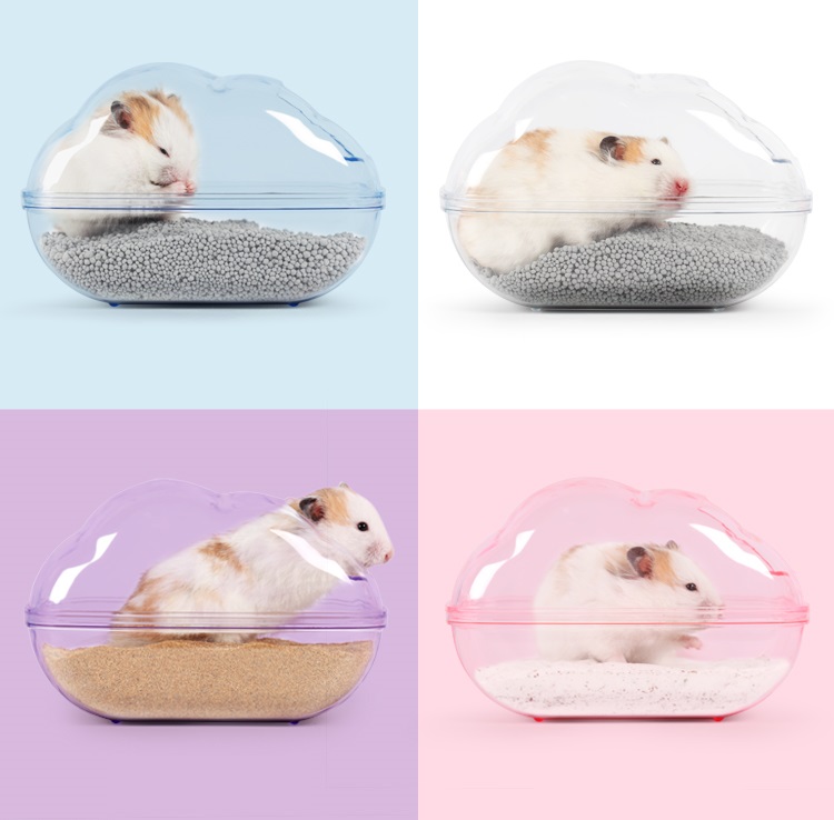 熊龍 倉鼠熊仔鼠沖涼房浴室