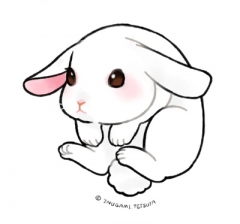 Lop-eared White