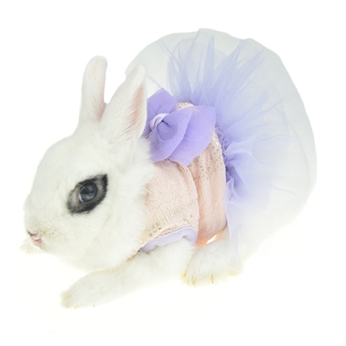 【特價】兔仔 寵物衣服 透氣 紫色夏季裙 XXS碼
