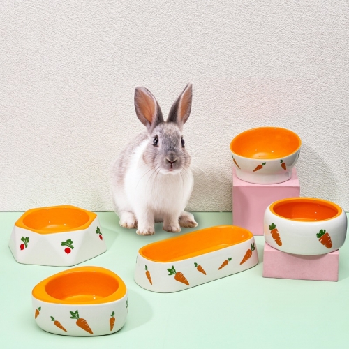 【特價】龍貓 兔 天竺鼠 胡蘿蔔陶瓷碗 食盆
