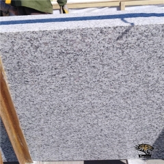 G439 telha de granito polido para paredes e pisos