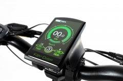 RUITENG RT-06 OEM 750W Folding Fat-tire E-bike with I-PAS Technology Patent ( Double Suspension )