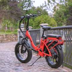 RUITENG RT-05 OEM 750W Foldable Fat-tire E-bike Step-through Electric Bicycle