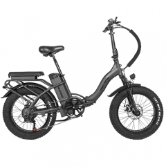 RUITENG RT-05 OEM 750W Foldable Fat-tire E-bike Step-through Electric Bicycle