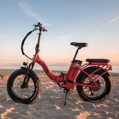 RUITENG RT-05 OEM 750W Foldable Fat-tire E-bike Step-through Electric Bicycle