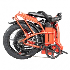 RUITENG RT-05 OEM 750W Foldable Fat-tire E-bike Step-through Electric Bicycle