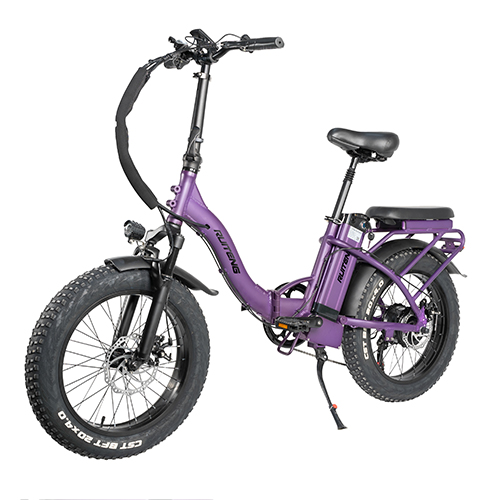 RUITENG RT-05 OEM 750W Foldable Fat-tire E-bike Step-through Electric Bicycle
