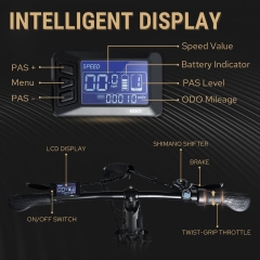 RUITENG RT-08 OEM E-bike 500W folding electric bicycle