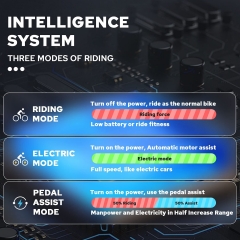 RUITENG RT-01 OEM E-bike 350W Mountain Electric Bike