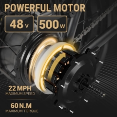 RUITENG RT-08 OEM E-bike 500W folding electric bicycle