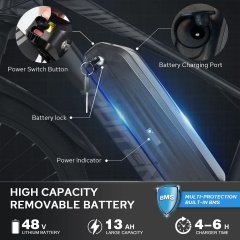 RUITENG RT-01 OEM E-bike 350W Mountain Electric Bike