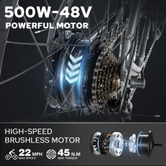 RUITENG RT-01 OEM E-bike 350W Mountain Electric Bike